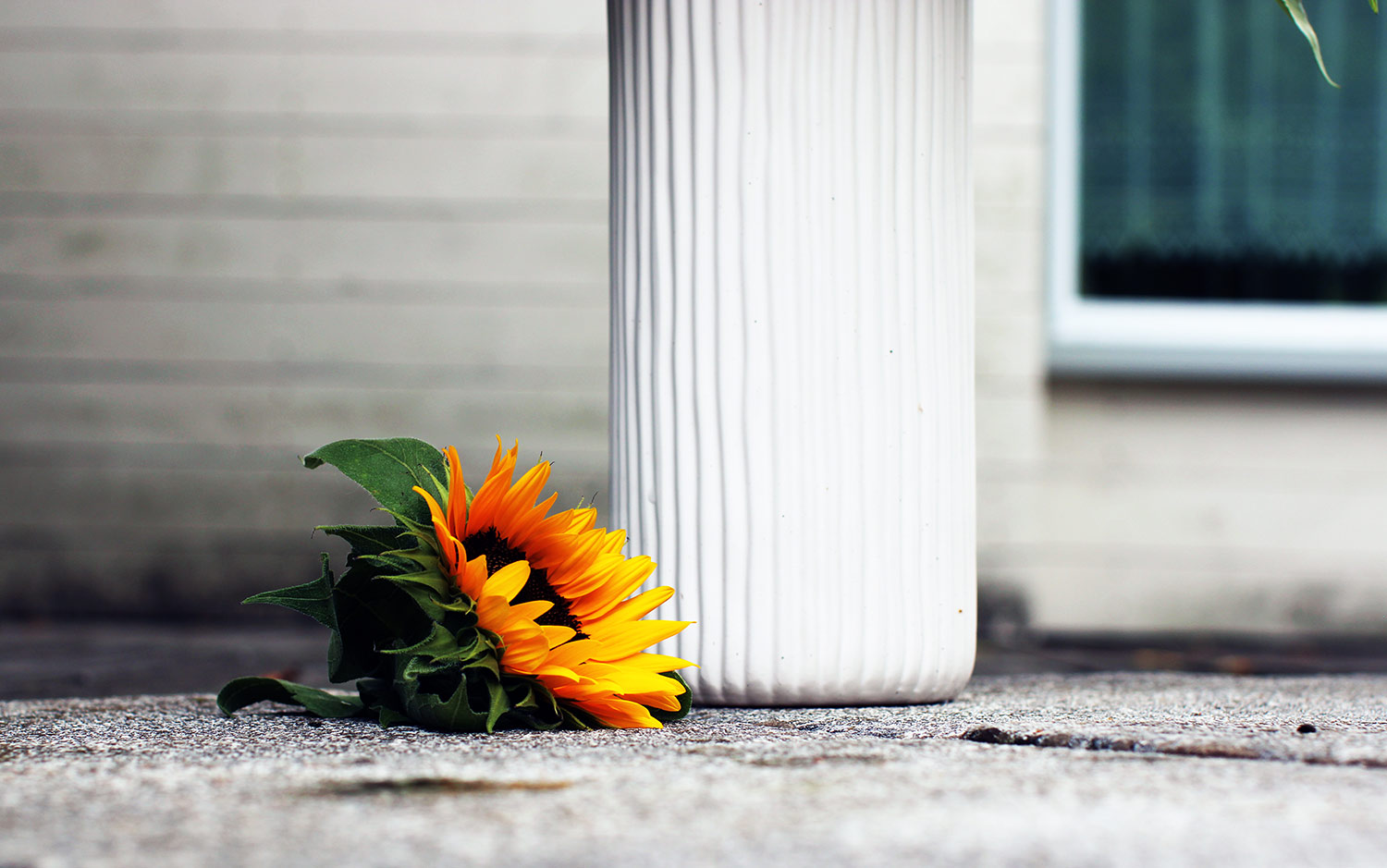 Naturfoto mit Sonnenblume am Boden neben Vase
