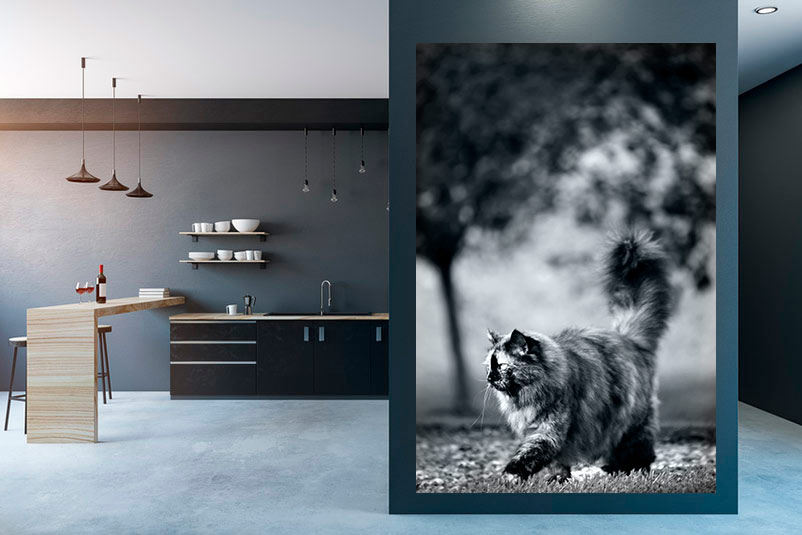 grosses Fotoposter mit Katze in Küche